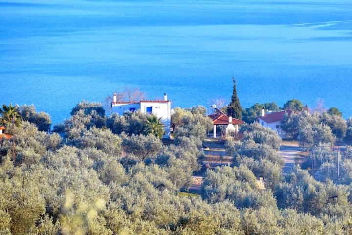 Four Independence Houses By The Sea Glífa Kültér fotó