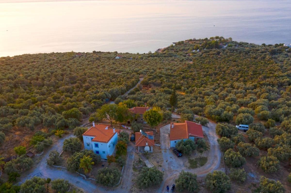 Four Independence Houses By The Sea Glífa Kültér fotó